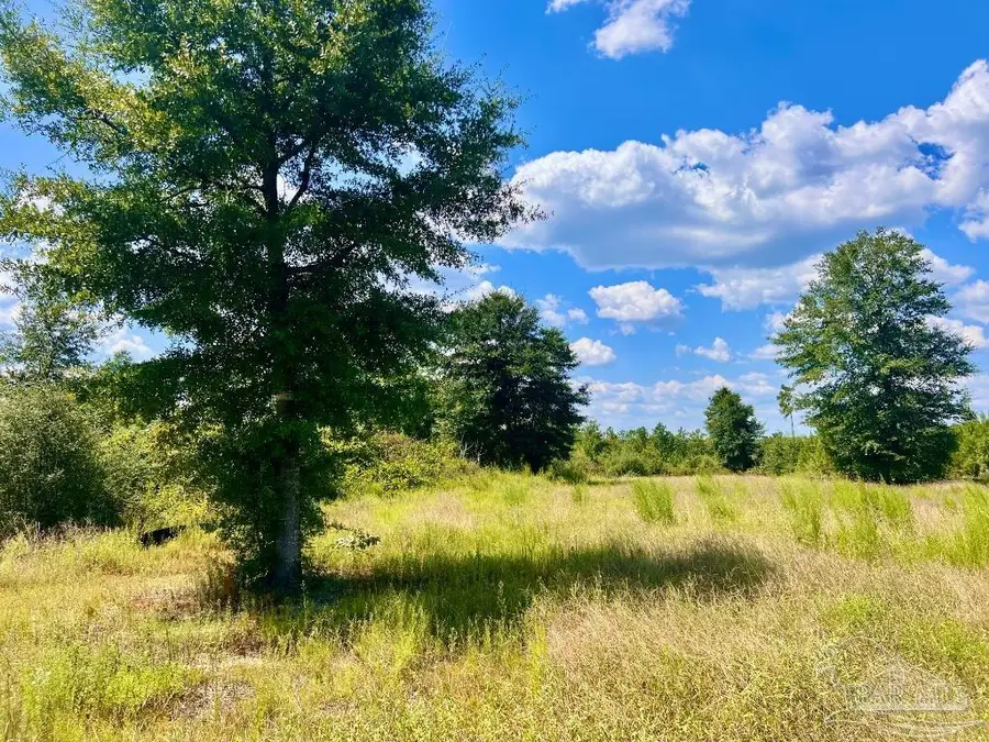 Lot 14 Morgans Branch, Molino, FL 32577 - Image #2