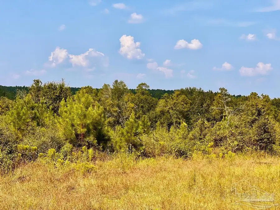 Lot 16 Morgans Branch, Molino, FL 32577 - #2