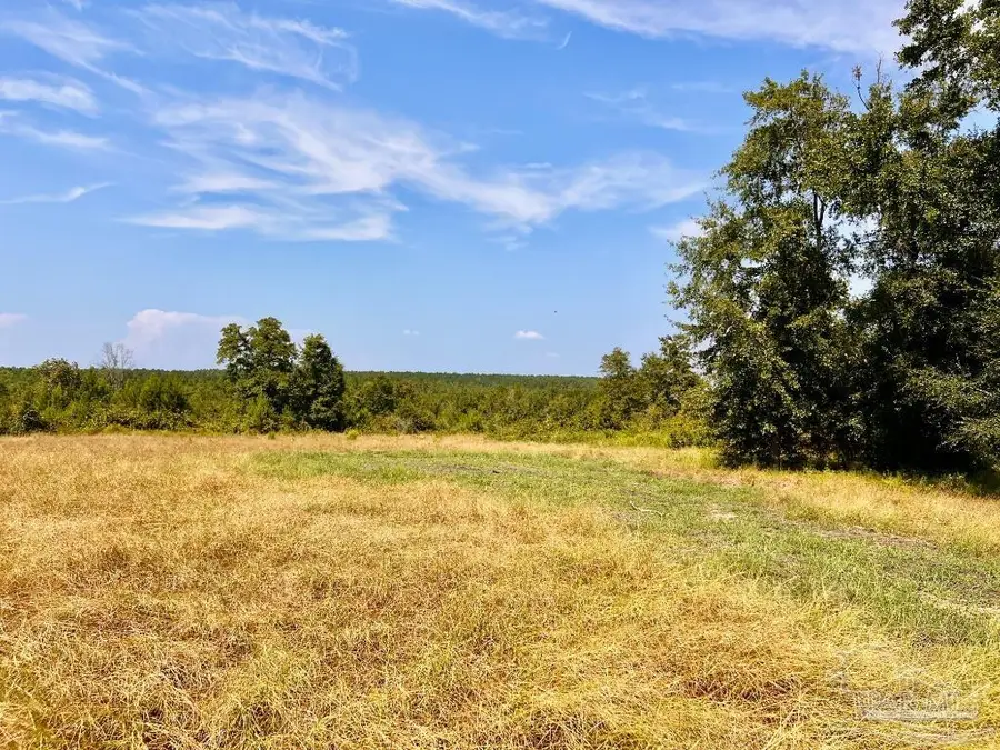 Lot 17 Morgans Branch, Molino, FL 32577 - #2