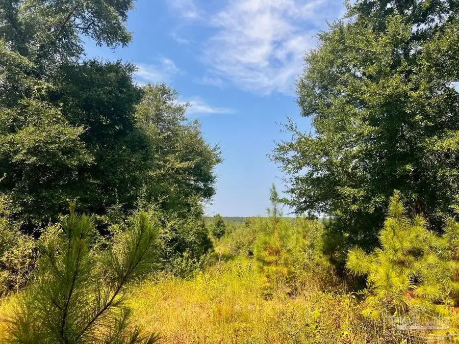 Lot 18 Morgans Branch, Molino, FL 32577 - Image #2
