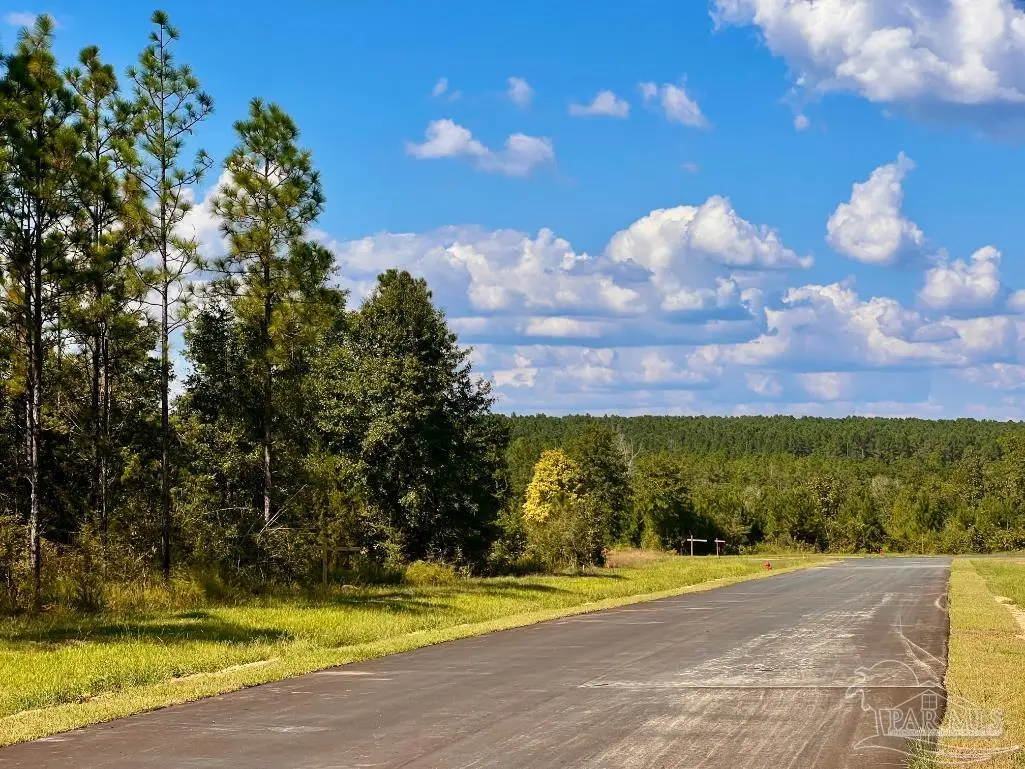 Lot 20 Morgans Branch, Molino, FL 32577 - #1