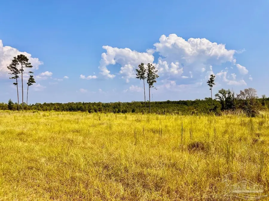 Lot 23 Morgans Branch, Molino, FL 32577 - Image #2