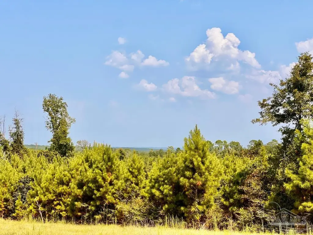 Lot 24 Morgans Branch, Molino, FL 32577 - Image #1