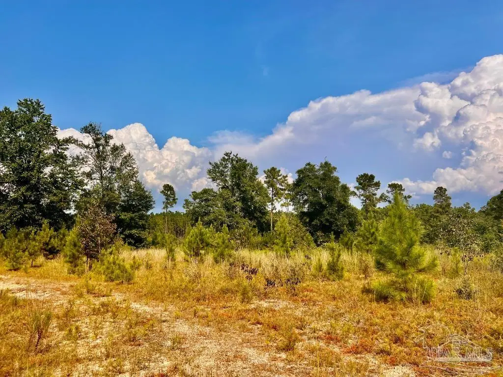 Lot 32 Morgans Branch, Molino, FL 32577 - #1
