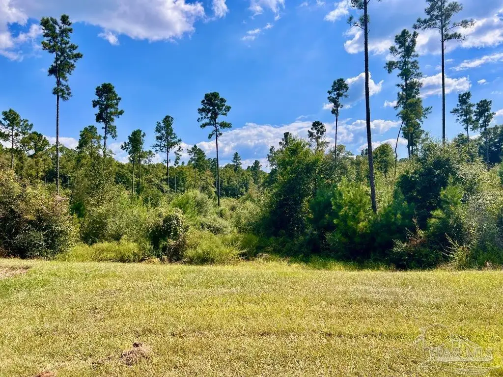 Lot 31 Morgans Branch, Molino, FL 32577 - Image #1