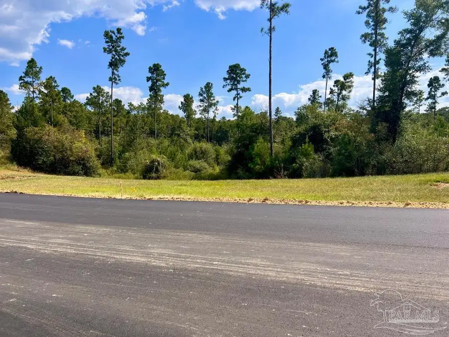 Lot 31 Morgans Branch, Molino, FL 32577 - Image #2