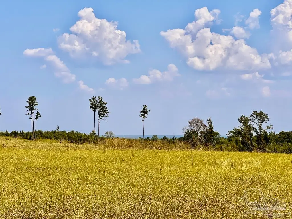 Lot 25 Morgans Branch, Molino, FL 32577 - Image #1