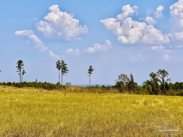 Lot 25 Morgans Branch, Molino, FL 32577