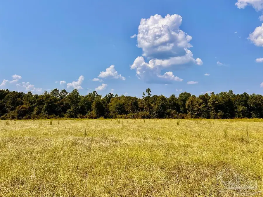 Lot 26 Morgans Branch, Molino, FL 32577 - Image #2