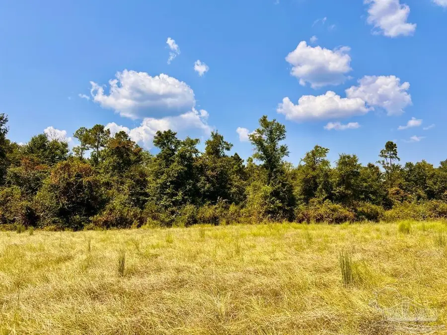Lot 27 Morgans Branch, Molino, FL 32577 - #2