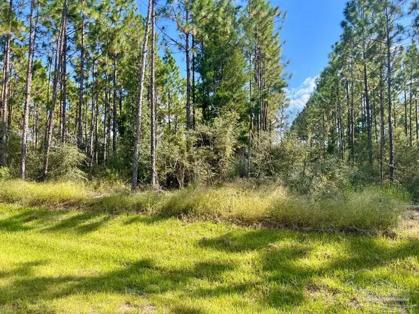 Lot 29 Morgans Branch, Molino, FL 32577