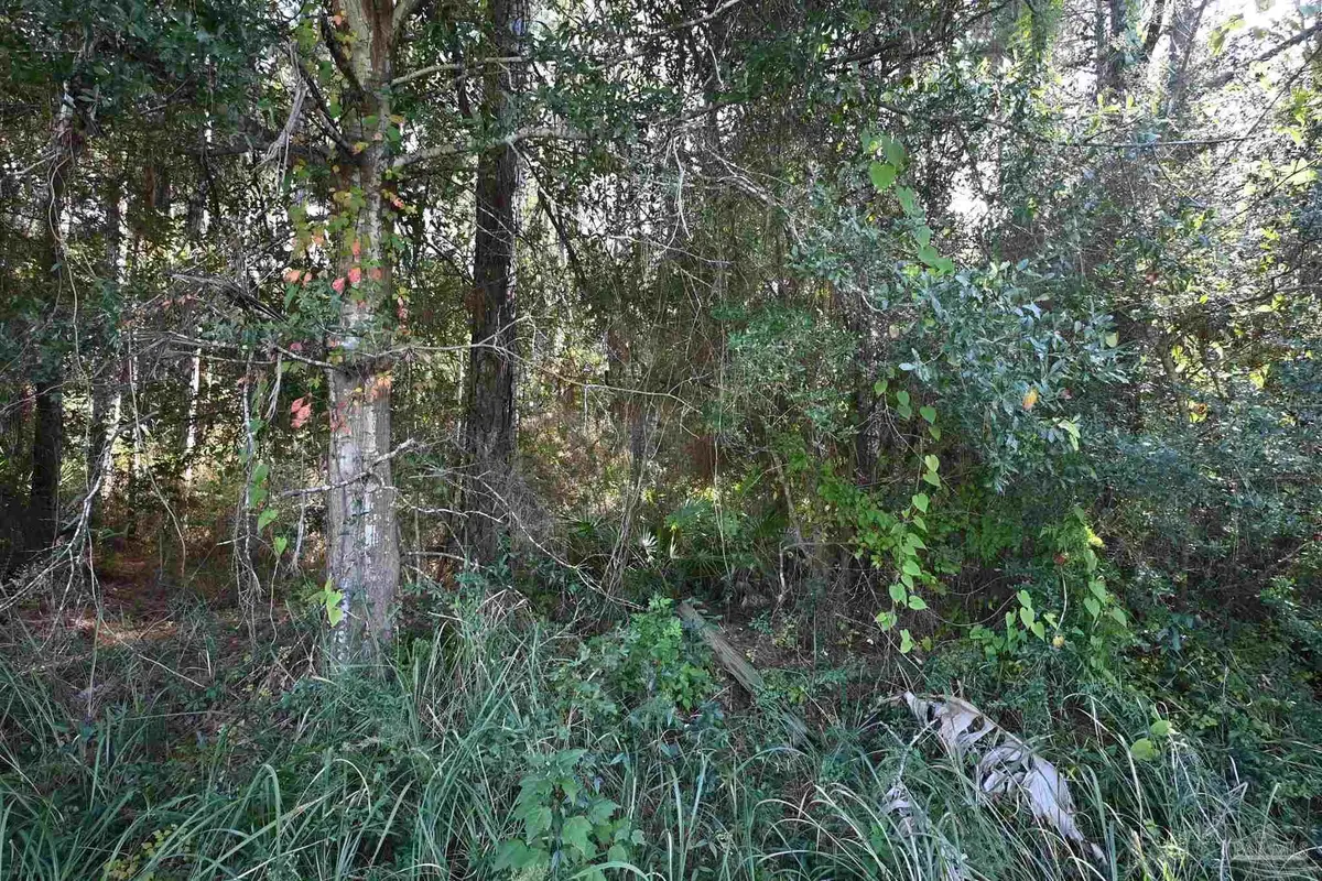 6421 Michigan Ave, Milton, FL 32583 - Image #1