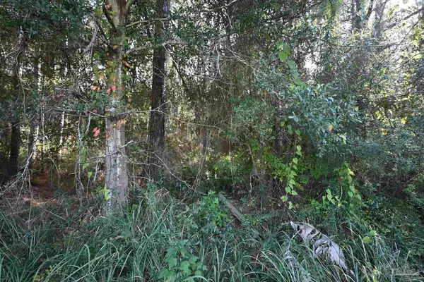 6421 Michigan Ave, Milton, FL 32583