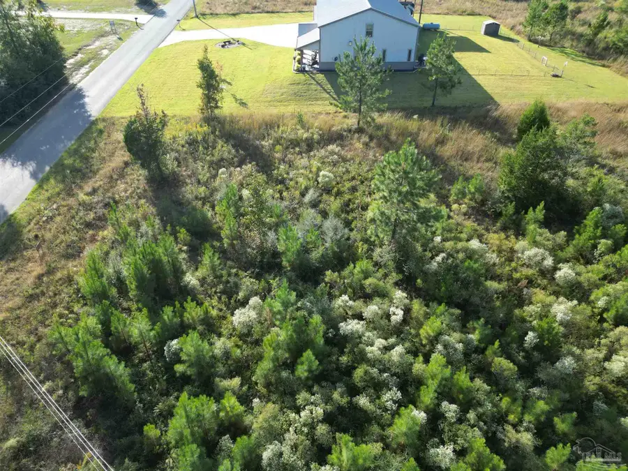 Lot 4N Aubrey Ln, Pace, FL 32571 - Image #2