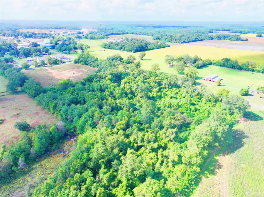 Lot 1 State Hwy 4, Jay, FL 32565 - Image #2