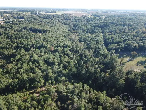 8+/- acres Wiley Scott Rd, Jay, FL 32565