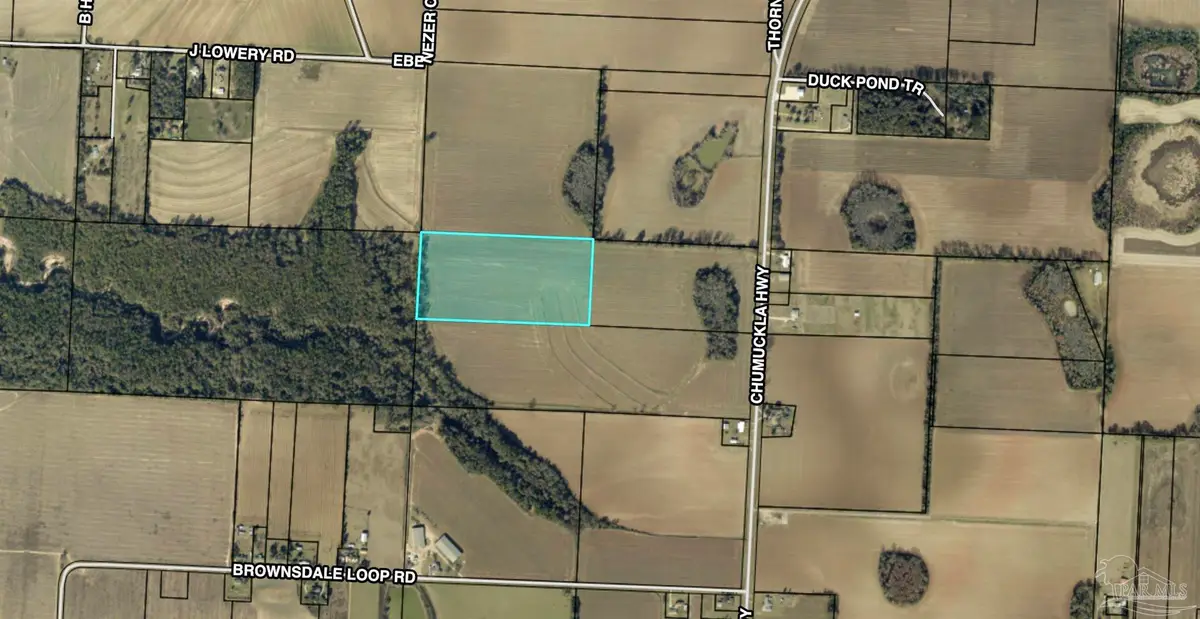20 Acres Chumuckla Hwy, Jay, FL 32565 - Image #1