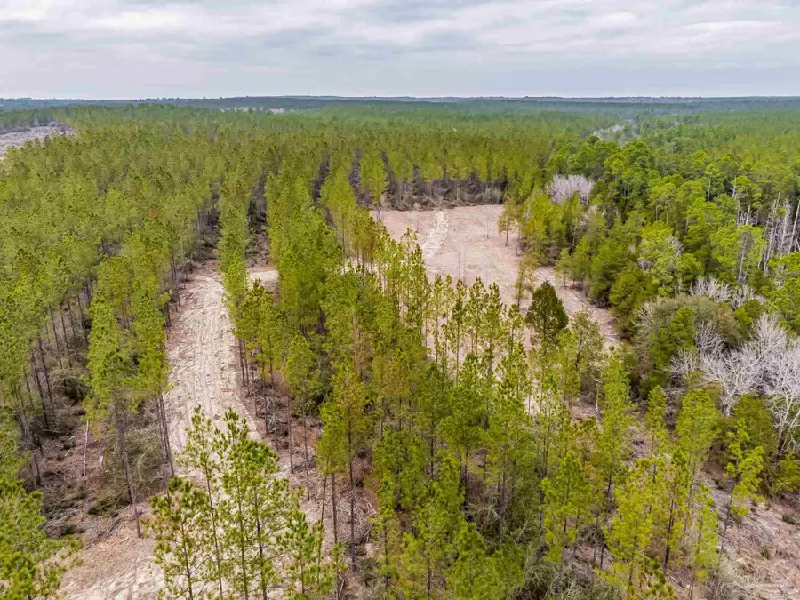 8997 Indian Ford Rd #Parcel A 22+/- Acres (Approximately), Milton, FL 32570 - Image #3