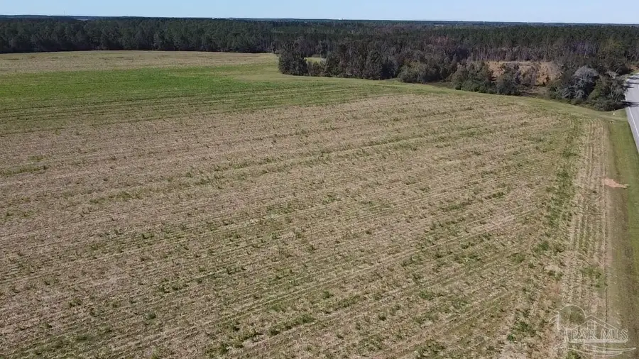 5600 Block Hwy 97, Walnut Hill, FL 32568 - Image #2