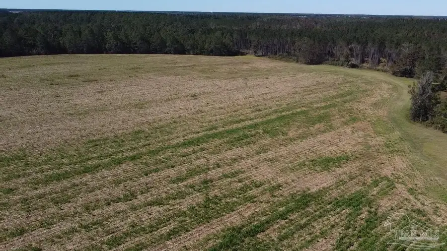 5600 Block Hwy 97, Walnut Hill, FL 32568 - Image #3