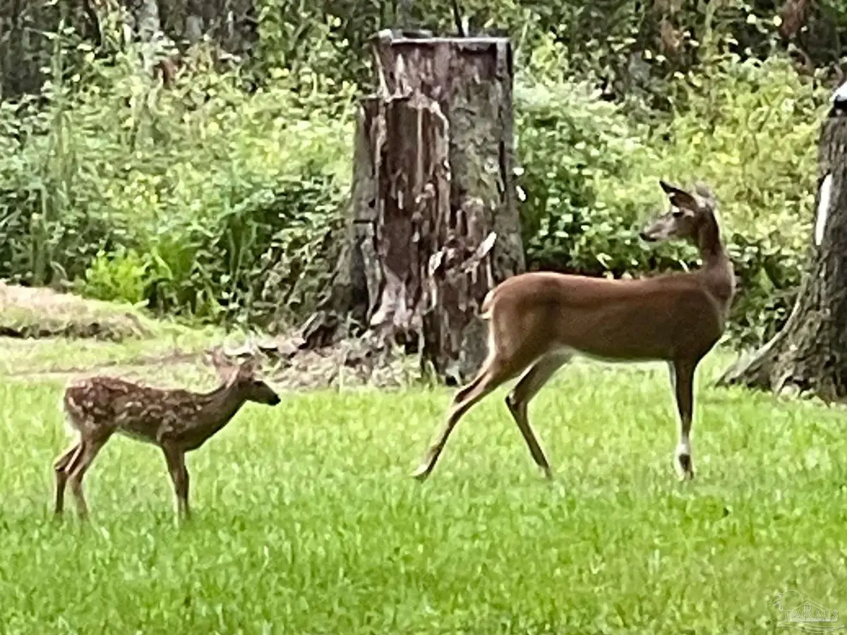 3372 Childers St, Milton, FL 32583 - Image #1