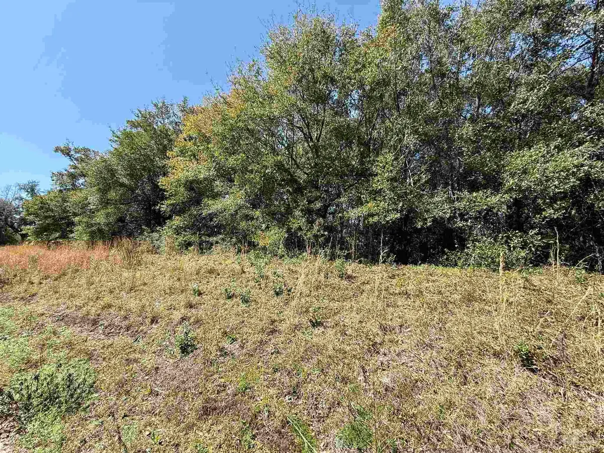 LOT 19 Dogwood Rd, Milton, FL 32570 - Image #1