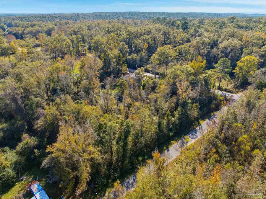 1100 Mckinnonville Rd, Molino, FL 32577 - Image #2