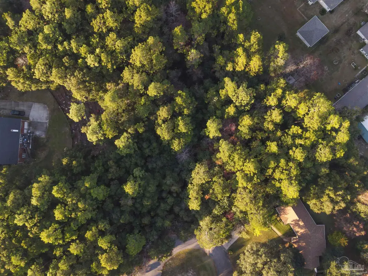 Amber Way, Pace, FL 32571 - Image #1