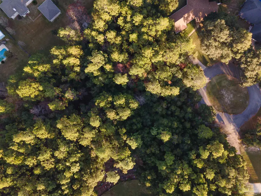 Amber Way, Pace, FL 32571 - Image #3