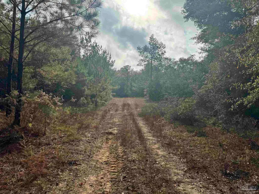0 Ryan Rd, Crestview, FL 32539 - Image #2