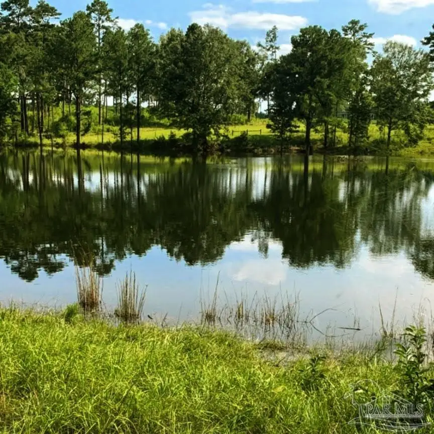 9023 County Rd 34, Millry, AL 36558 - #1