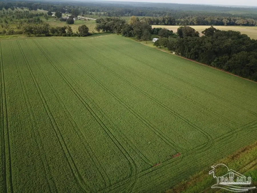 8+ acres N Hwy 87, Milton, FL 32570 - Image #2