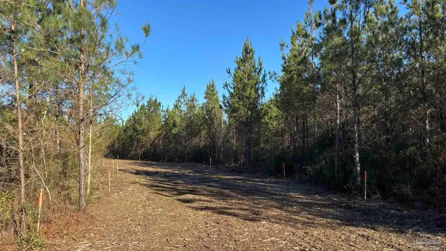 lot 55 Straw Bridge Rd, Allentown, FL 32565 - #3
