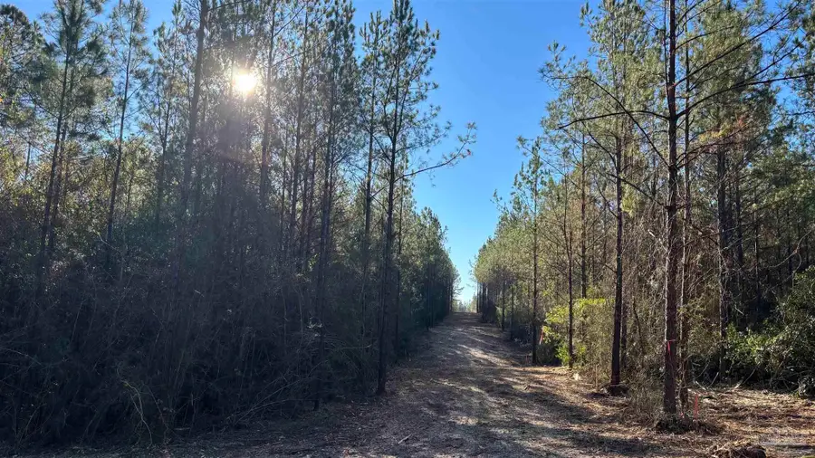 lot 57 Straw Bridge Rd, Allentown, FL 32565 - Image #3