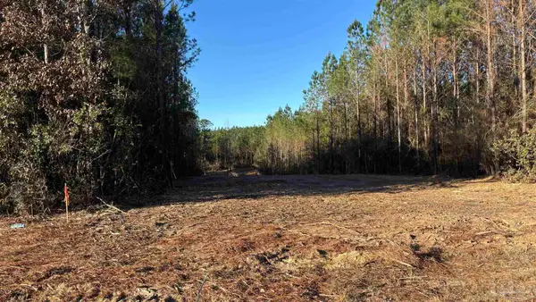 lot 59 Straw Bridge Rd, Allentown, FL 32565