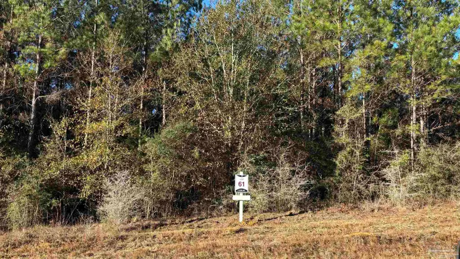 lot 61 Straw Bridge Rd, Allentown, FL 32565 - Image #2