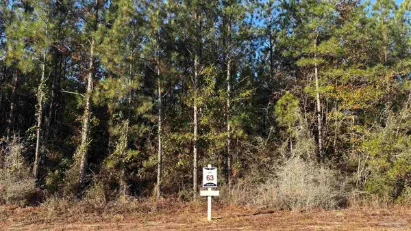 lot 63 Straw Bridge Rd, Allentown, FL 32565