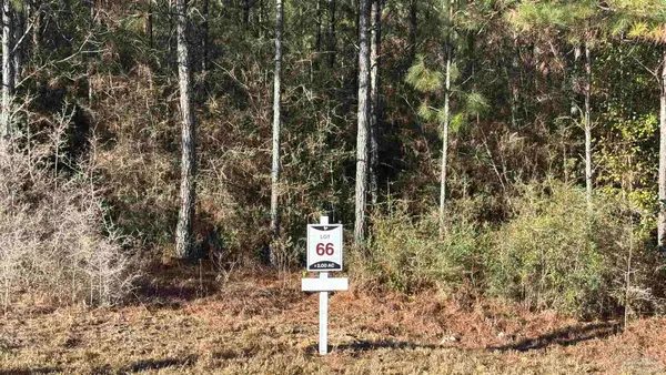 lot 66 Straw Bridge Rd, Allentown, FL 32565