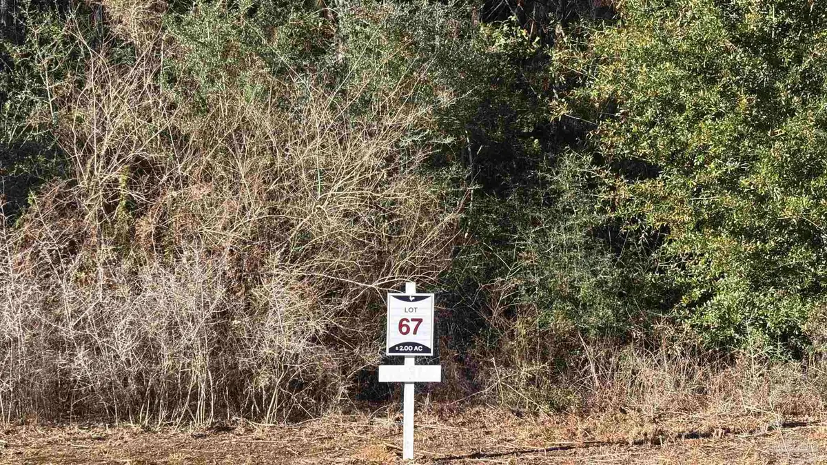 lot 67 Straw Bridge Rd, Allentown, FL 32565 - Image #1