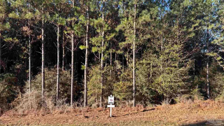 lot 70 Straw Bridge Rd, Allentown, FL 32565 - Image #2