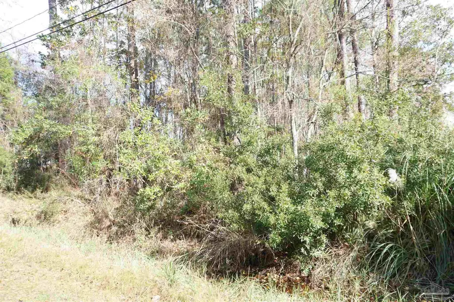 396 Riola Pl, Pensacola, FL 32506 - Image #3