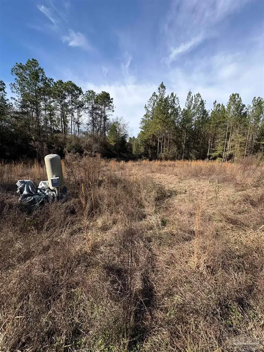 10485 Wiggins Grove Rd, Jay, FL 32565 - Image #3