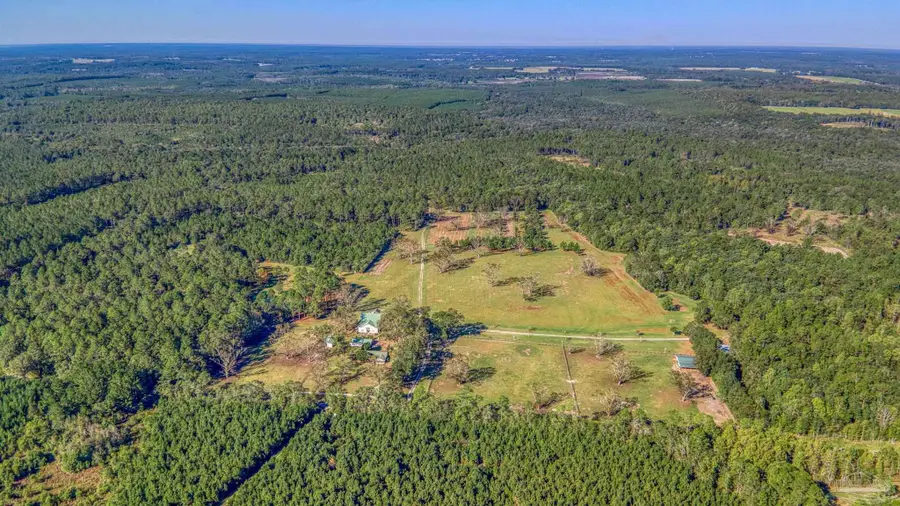 1650 Bear Bay Flats Rd, Laurel Hill, FL 32567 - Image #2