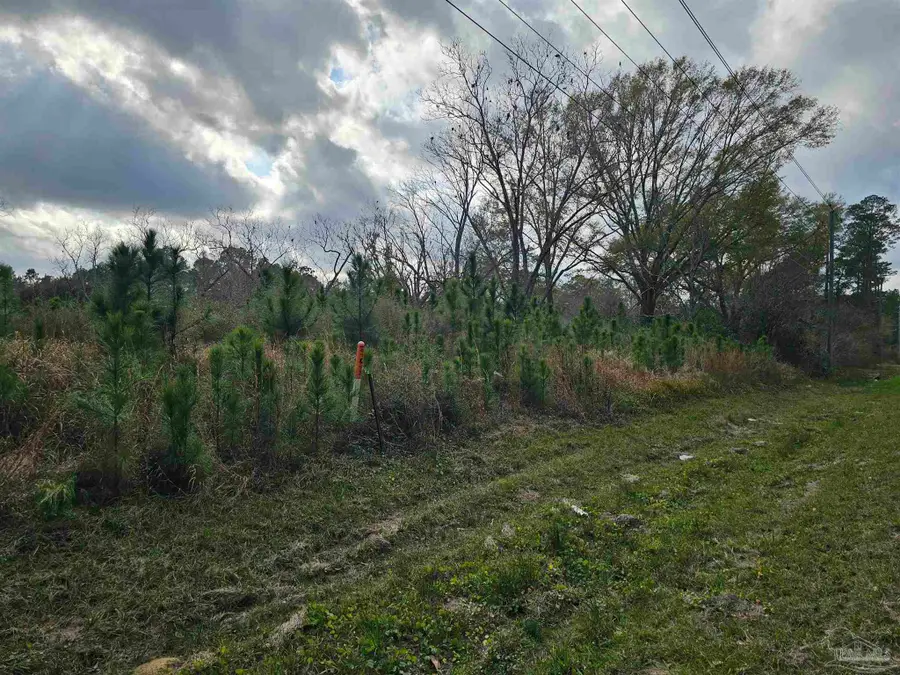 29640 Us Hwy 98, Elberta, AL 36530 - Image #2