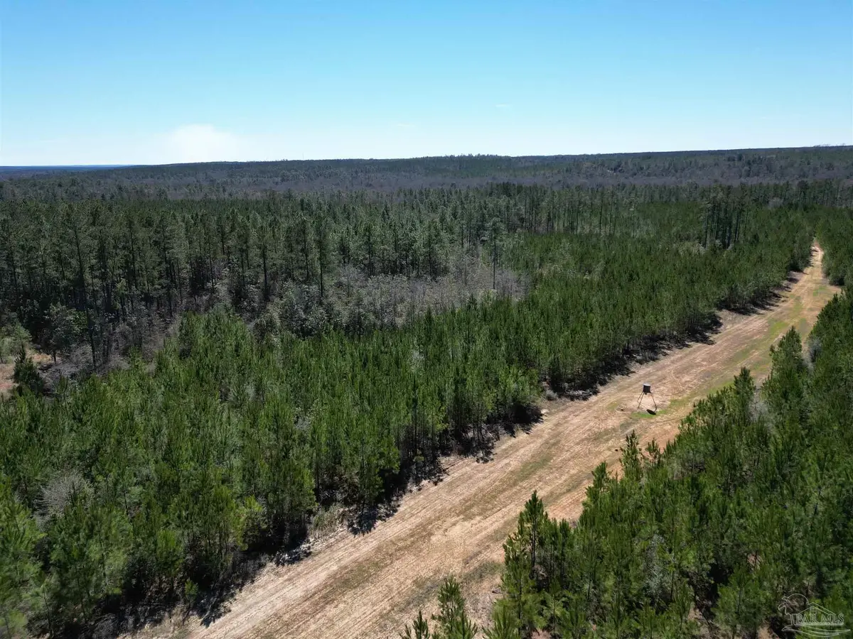 2 Robinsonville Rd, Atmore, AL 36502 - Image #1