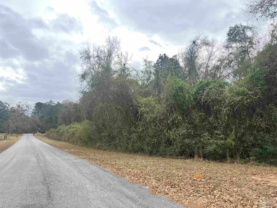3000 Block N Pine Barren Rd, McDavid, FL 32568 - Image #2