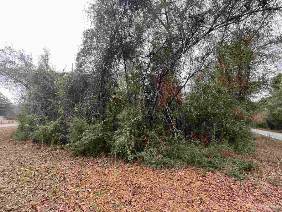 3000 Block N Pine Barren Rd, McDavid, FL 32568 - Image #3