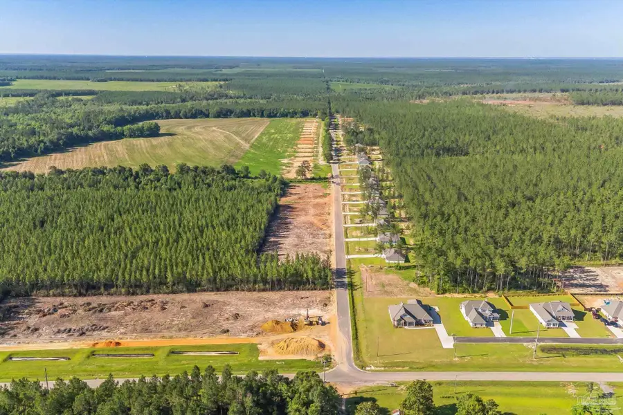 9268 Three Hollow Rd, Jay, FL 32565 - #3