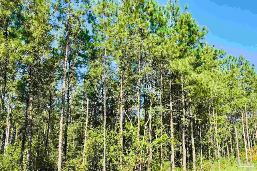 3142 Shearing Rd, Pace, FL 32571 - Image #2