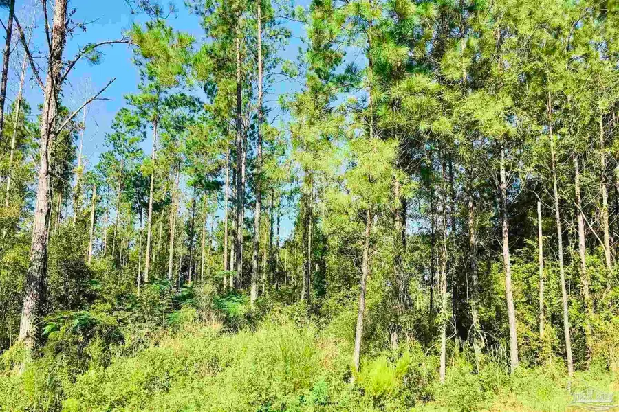 3142 Shearing Rd, Pace, FL 32571 - Image #3